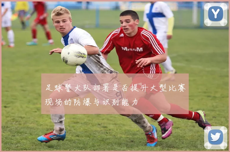 足球警犬队部署是否提升大型比赛现场的防爆与识别能力